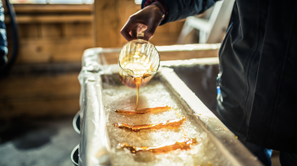 Maple Fest Sugar Shack