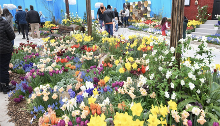 Gage Park Tropical Greenhouse Hamilton Bulb Show