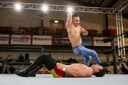 Rock and Roll Wrestling