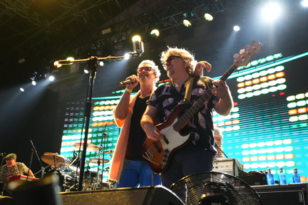 Los Amigos Invisibles