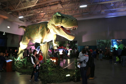 Dinosaur Adventure