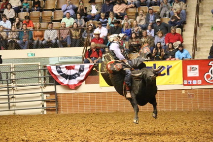 SLE Rodeo