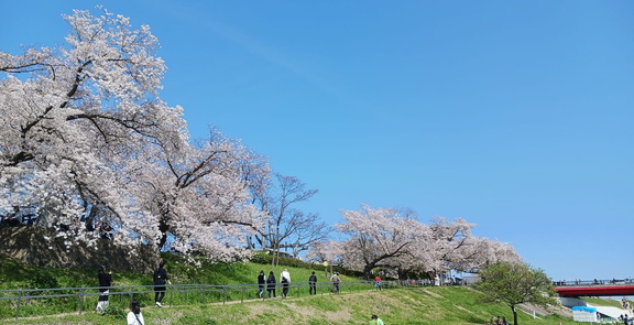 NATURE 2025 との出会い