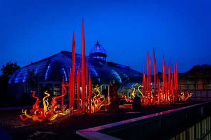 March Chihuly Night