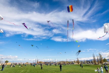 North Natomas Kite Festival