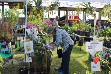 29th Annual Flower &amp; Garden Expo