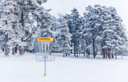 discgolf