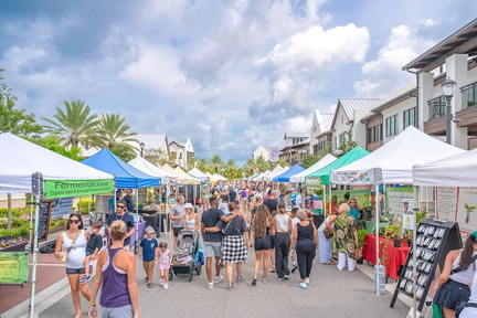 The Farmers' Market1