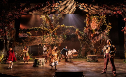 Into the Woods