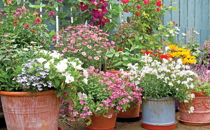 Naples Home &amp; Garden Show