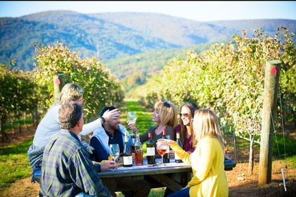 Maipo Valley Wine Tour with 4 vineyards
