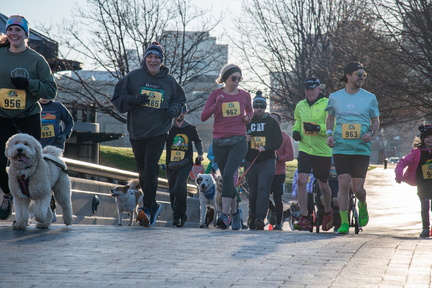 Lucky Dog 5K
