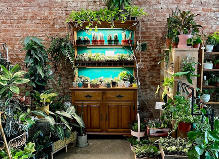 Tri-State Houseplant Expo