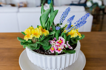 Welcome Spring Arrangement