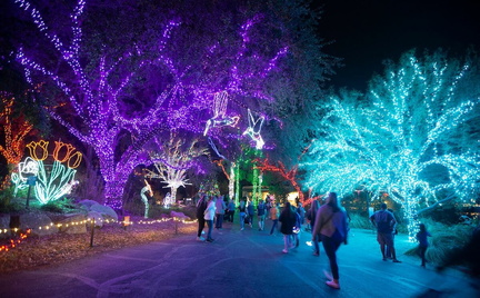ZooLights-at-The-Phoenix-Zoo-9.30.22