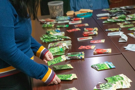 Seed+Swap 2