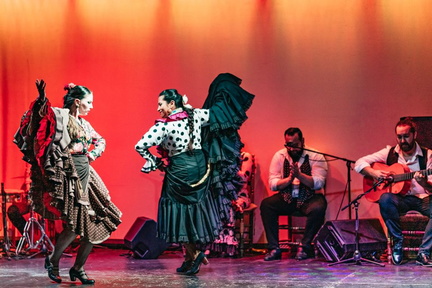 1 barcelona-flamenco-show-at-city-hall-theater