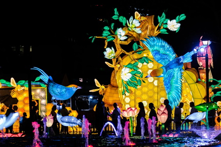 Animals Aglow
