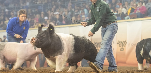2025 Oklahoma Youth Expo