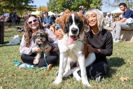 Dog Day Festival