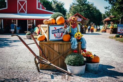 luckyladdfarms Instagram 2 ig 17949871028153933 jpg tWmxUWg3