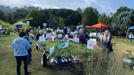 plant-sale