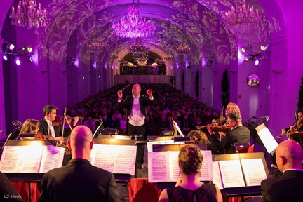 MozartJohannStraussConcertatOrangerieTicket