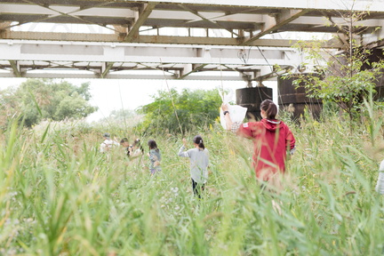 Miyakojima Meets Nature
