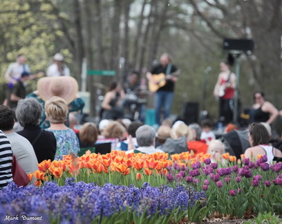 Tunes and Blooms