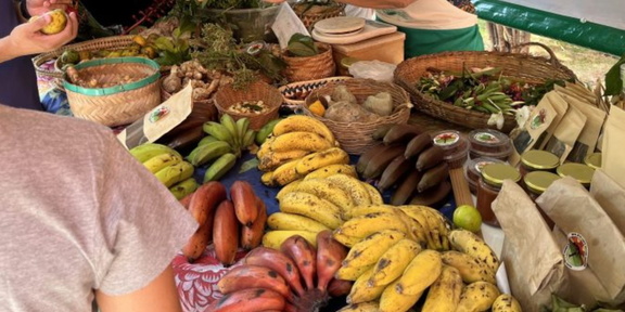Agroecologias no Plural