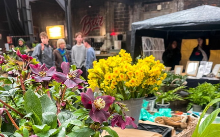Pollen - Inner-City Flower Market