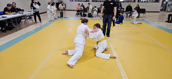 Mini Judo Festival.v1