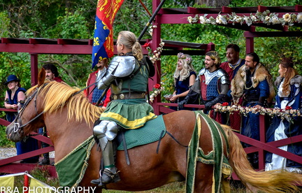 Jousting 3