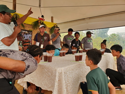 Chocolate Festival
