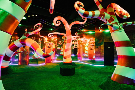 EXPERIENCE-TIM-BURTON_3_FABIAN-MORASUT
