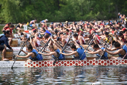 Toronto International Dragon Boat Race Festival
