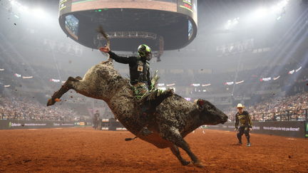 Professional Bull Riders (PBR)