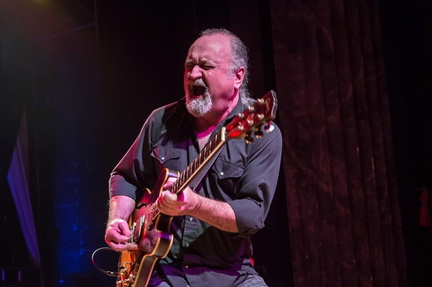 Tinsley Ellis