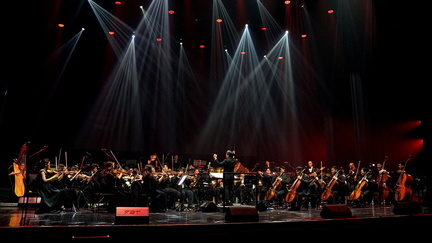 Philharmonisches Konzert