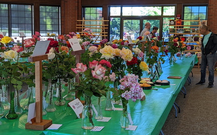Spring Plant Sale