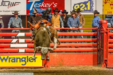 Stockyards Championship Rodeo
