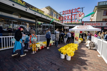 28th Annual Daffodil Day
