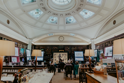 Under Construction | The Portico Experiment