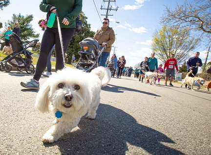 23rd Annual Dog Jog, Sk &amp; Block Party