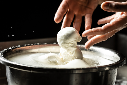 Cheese Making Stock