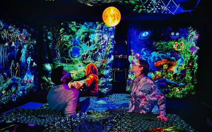 Shylodelic Art Space