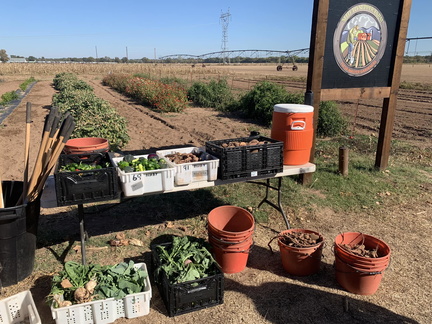 Lunch &amp; Learn with Tulsa Master Gardeners 2025