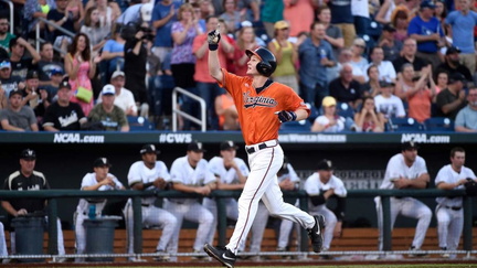 Virginia Cavaliers Baseball