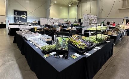 Repticon