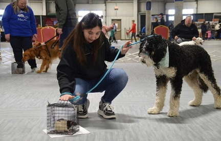 I Love My Dog Expo